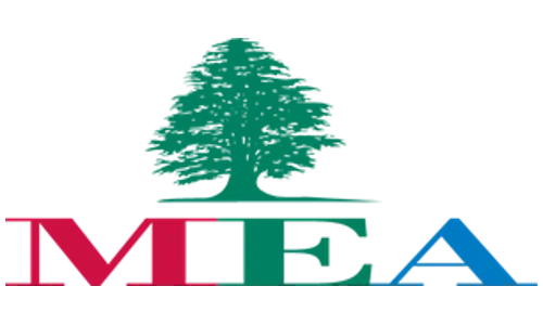 Middle East Airlines airline