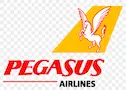 Pegasus airline