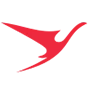 Surinam Airways airline