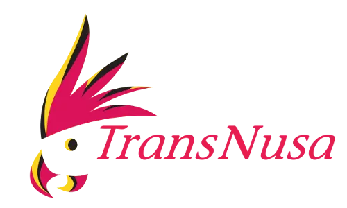 TransNusa airline