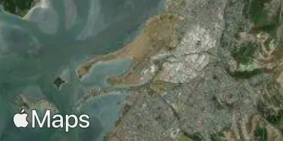 Satellite