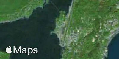 Satellite