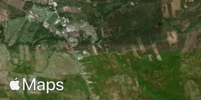 Satellite